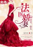 大宝鉴顶点