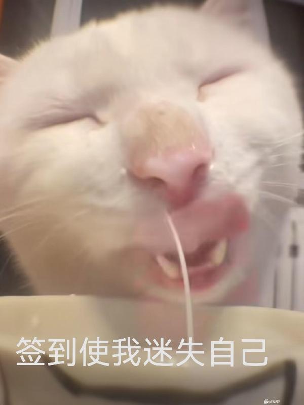 主角无敌加入聊天群