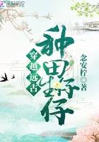 萧皇殿全文免费阅读