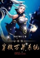 驭娇官梯全文免费阅读