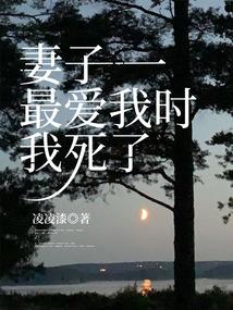 苏沫秦琛全文