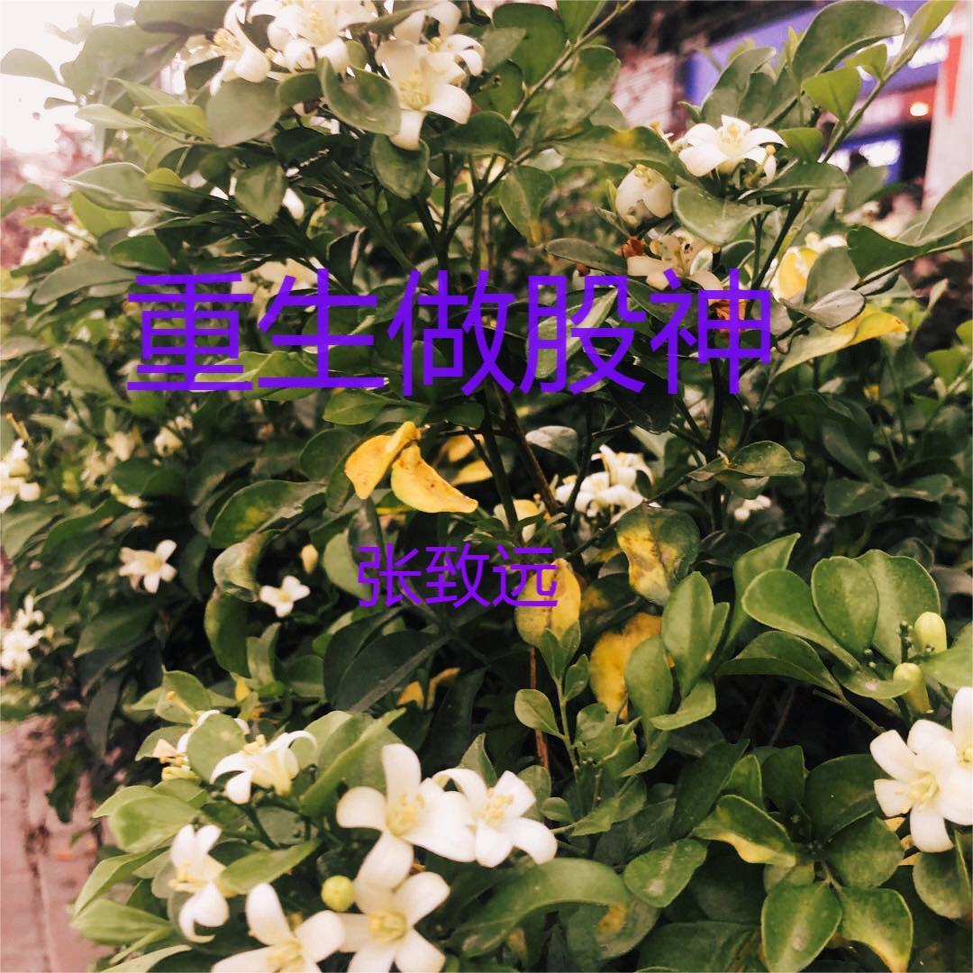 窥春情讲的什么故事