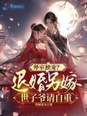 叶宁全集免费阅读