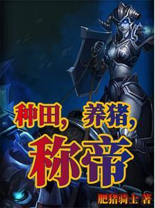 影子杀手续集