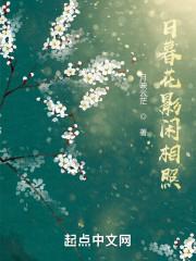 再见你已白发