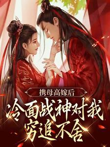 我代号是伏特加免费阅读