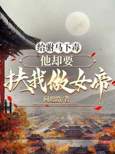 变形金刚之末日领袖