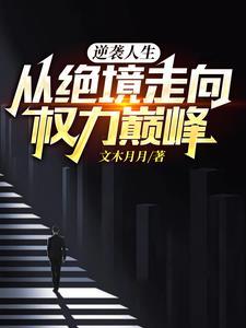 娱乐巨星全文免费阅读