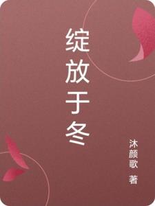 穿越皇后精彩