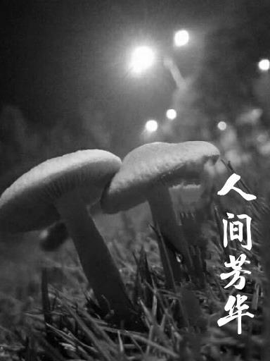 哪吒之摩托僵尸视频